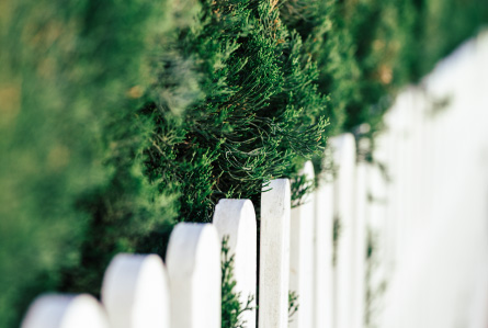 Fences