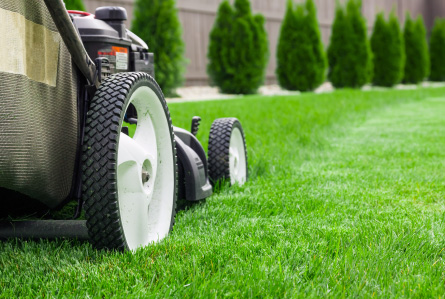 Lawn Mowing